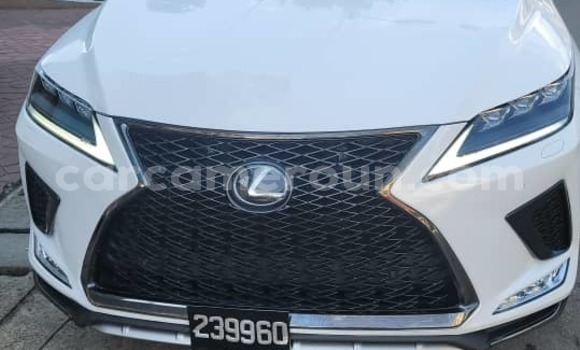 Acheter Import Voiture Lexus RX 350 Blanc à Douala, Littoral Cameroon Acheter Import Voiture Lexus RX 350 Blanc à Douala, Littoral Cameroon