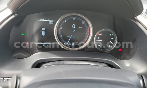 Acheter Import Voiture Lexus RX 350 Blanc à Douala, Littoral Cameroon Acheter Import Voiture Lexus RX 350 Blanc à Douala, Littoral Cameroon