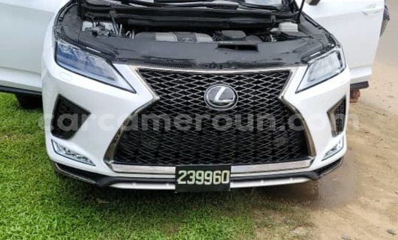 Acheter Import Voiture Lexus RX 350 Blanc à Douala, Littoral Cameroon Acheter Import Voiture Lexus RX 350 Blanc à Douala, Littoral Cameroon