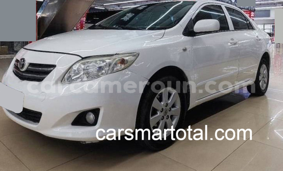Sayi Na hannu Toyota Corolla White Mota in Mbalmayo a Babban Kamaru Sayi Na hannu Toyota Corolla White Mota in Mbalmayo a Babban Kamaru