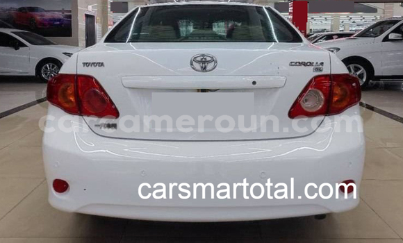 Sayi Na hannu Toyota Corolla White Mota in Mbalmayo a Babban Kamaru Sayi Na hannu Toyota Corolla White Mota in Mbalmayo a Babban Kamaru