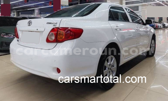 Sayi Na hannu Toyota Corolla White Mota in Mbalmayo a Babban Kamaru Sayi Na hannu Toyota Corolla White Mota in Mbalmayo a Babban Kamaru