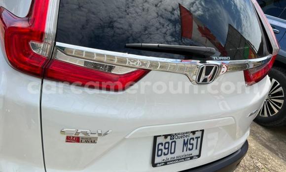 Buy Used Honda CR–V White Car in Douala in Littoral Cameroon Buy Used Honda CR–V White Car in Douala in Littoral Cameroon