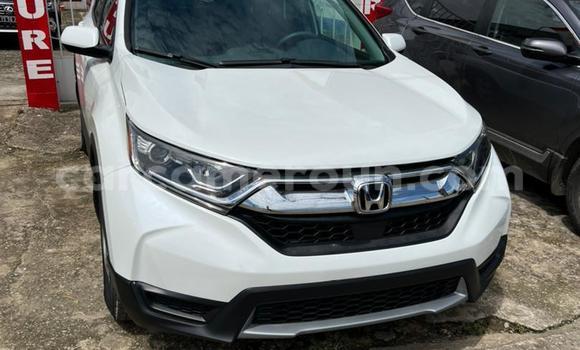 Buy Used Honda CR–V White Car in Douala in Littoral Cameroon Buy Used Honda CR–V White Car in Douala in Littoral Cameroon