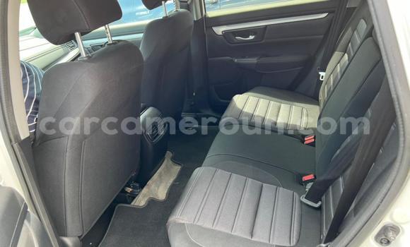 Buy Used Honda CR–V White Car in Douala in Littoral Cameroon Buy Used Honda CR–V White Car in Douala in Littoral Cameroon