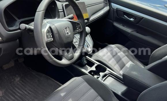 Buy Used Honda CR–V White Car in Douala in Littoral Cameroon Buy Used Honda CR–V White Car in Douala in Littoral Cameroon