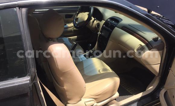 Buy Used Toyota Solara Black Car in Douala in Littoral Cameroon Buy Used Toyota Solara Black Car in Douala in Littoral Cameroon