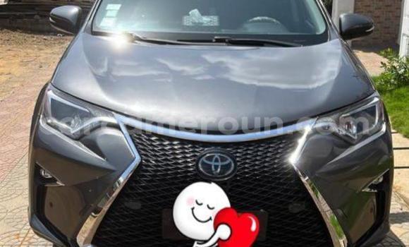 Sayi Na hannu Toyota RAV4 Brown Mota in Douala a Ƙasar Kamaru Sayi Na hannu Toyota RAV4 Brown Mota in Douala a Ƙasar Kamaru