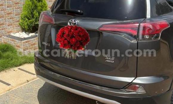 Sayi Na hannu Toyota RAV4 Brown Mota in Douala a Ƙasar Kamaru Sayi Na hannu Toyota RAV4 Brown Mota in Douala a Ƙasar Kamaru