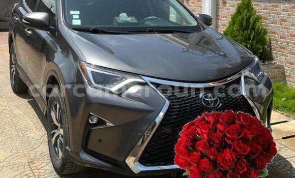 Sayi Na hannu Toyota RAV4 Brown Mota in Douala a Ƙasar Kamaru Sayi Na hannu Toyota RAV4 Brown Mota in Douala a Ƙasar Kamaru