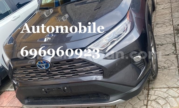 Buy Import Toyota RAV4 Black Car in Douala in Littoral Cameroon Buy Import Toyota RAV4 Black Car in Douala in Littoral Cameroon