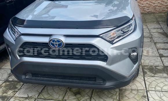 Acheter Import Voiture Toyota RAV4 Gris à Douala, Littoral Cameroon Acheter Import Voiture Toyota RAV4 Gris à Douala, Littoral Cameroon