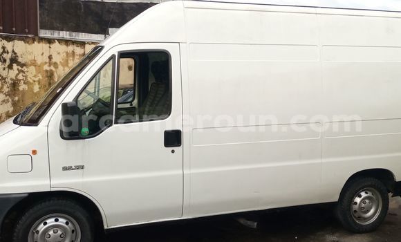 Buy Import Citroen Jumper White Truck in Douala in Littoral Cameroon Buy Import Citroen Jumper White Truck in Douala in Littoral Cameroon