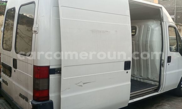 Buy Import Citroen Jumper White Truck in Douala in Littoral Cameroon Buy Import Citroen Jumper White Truck in Douala in Littoral Cameroon