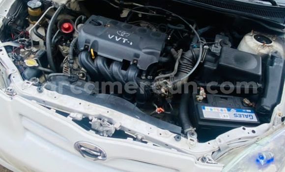 Buy Used Toyota Runx White Car in Douala in Littoral Cameroon Buy Used Toyota Runx White Car in Douala in Littoral Cameroon