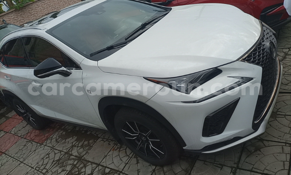 Acheter Import Voiture Lexus NX Blanc à Douala, Littoral Cameroon Acheter Import Voiture Lexus NX Blanc à Douala, Littoral Cameroon