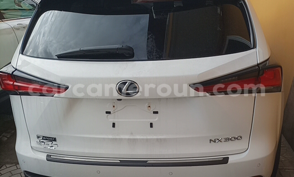 Acheter Import Voiture Lexus NX Blanc à Douala, Littoral Cameroon Acheter Import Voiture Lexus NX Blanc à Douala, Littoral Cameroon
