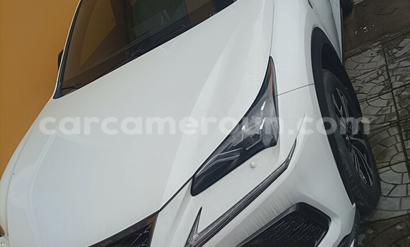 Acheter Import Voiture Lexus NX Blanc à Douala, Littoral Cameroon Acheter Import Voiture Lexus NX Blanc à Douala, Littoral Cameroon