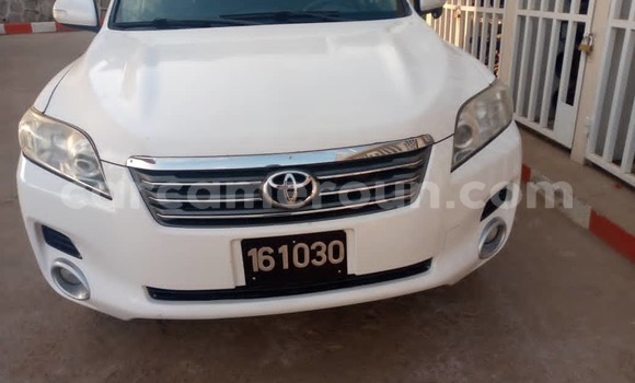 Buy Used Toyota Vanguard White Car in Yaounde in Central Cameroon