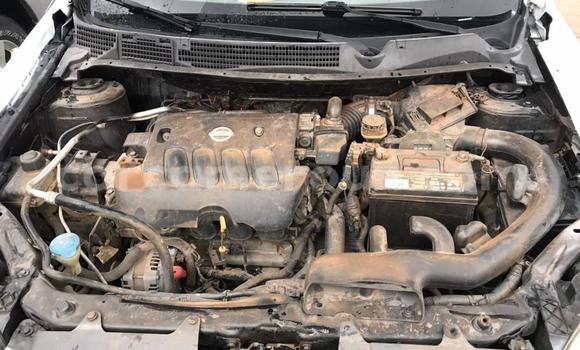 Buy Used Nissan Qashqai White Car in Douala in Littoral Cameroon Buy Used Nissan Qashqai White Car in Douala in Littoral Cameroon