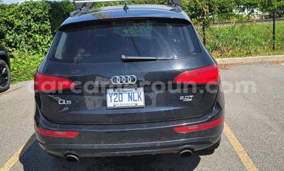 Acheter Occasion Voiture Audi Q5 Noir à Douala, Littoral Cameroon Acheter Occasion Voiture Audi Q5 Noir à Douala, Littoral Cameroon