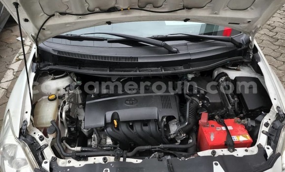 Acheter Neuf Voiture Toyota Auris Blanc à Douala, Littoral Cameroon Acheter Neuf Voiture Toyota Auris Blanc à Douala, Littoral Cameroon