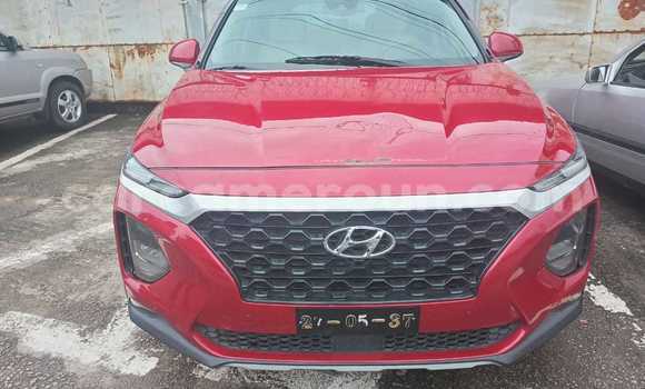 Buy New Hyundai Santa Fe Red Car in Douala in Littoral Cameroon
