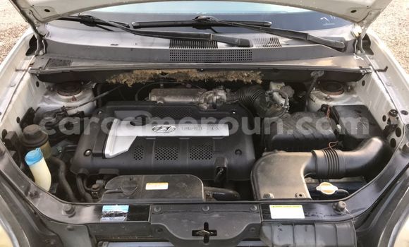 Acheter Occasion Voiture Hyundai Tucson Gris à Douala, Littoral Cameroon Acheter Occasion Voiture Hyundai Tucson Gris à Douala, Littoral Cameroon