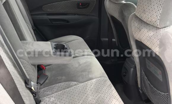 Acheter Occasion Voiture Hyundai Tucson Bleu à Douala, Littoral Cameroon Acheter Occasion Voiture Hyundai Tucson Bleu à Douala, Littoral Cameroon