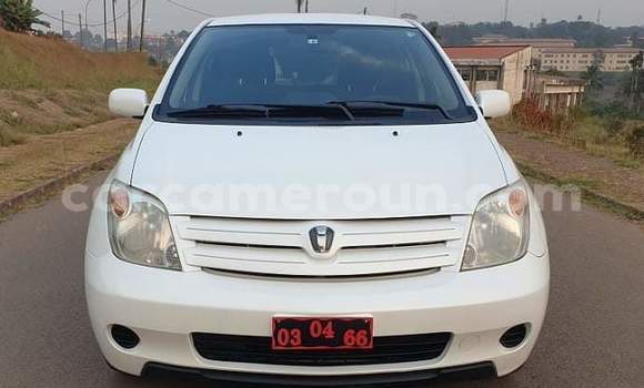 Sayi Na hannu Toyota IST White Mota in Yaounde a Babban Kamaru Sayi Na hannu Toyota IST White Mota in Yaounde a Babban Kamaru