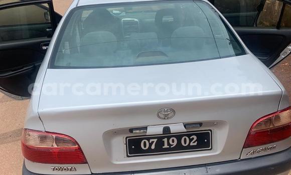 Buy Used Toyota Avensis Silver Car in Yaounde in Central Cameroon Buy Used Toyota Avensis Silver Car in Yaounde in Central Cameroon