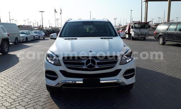 Buy Used Mercedes‒Benz GLE White Car in Douala in Littoral Cameroon