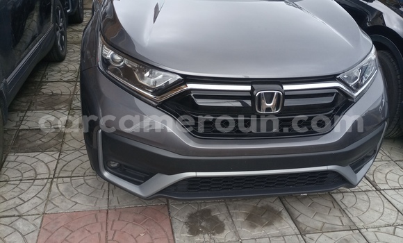 Acheter Import Voiture Honda CR–V Gris à Douala, Littoral Cameroon Acheter Import Voiture Honda CR–V Gris à Douala, Littoral Cameroon