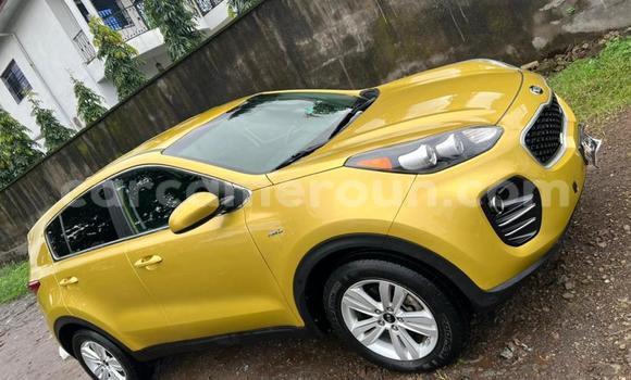 Acheter Occasion Voiture Kia Sportage Autre à Douala, Littoral Cameroon Acheter Occasion Voiture Kia Sportage Autre à Douala, Littoral Cameroon