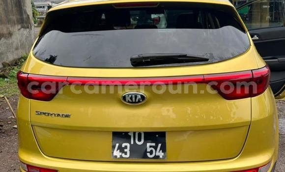 Acheter Occasion Voiture Kia Sportage Autre à Douala, Littoral Cameroon Acheter Occasion Voiture Kia Sportage Autre à Douala, Littoral Cameroon