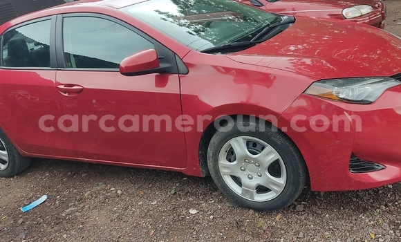 Acheter Occasion Voiture Toyota Corolla Rouge à Douala, Littoral Cameroon Acheter Occasion Voiture Toyota Corolla Rouge à Douala, Littoral Cameroon