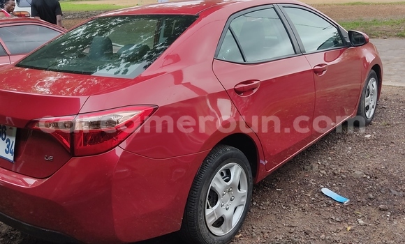 Acheter Occasion Voiture Toyota Corolla Rouge à Douala, Littoral Cameroon Acheter Occasion Voiture Toyota Corolla Rouge à Douala, Littoral Cameroon