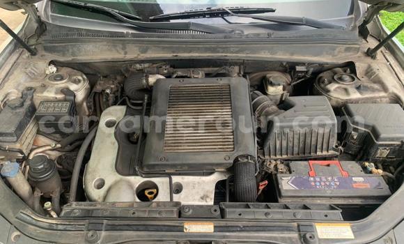 Buy Used Hyundai Santa Fe Blue Car in Douala in Littoral Cameroon Buy Used Hyundai Santa Fe Blue Car in Douala in Littoral Cameroon