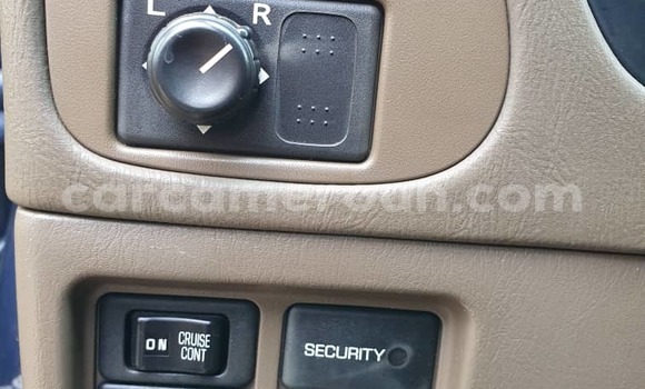 Acheter Occasion Voiture Nissan Pathfinder Bleu à Douala, Littoral Cameroon Acheter Occasion Voiture Nissan Pathfinder Bleu à Douala, Littoral Cameroon