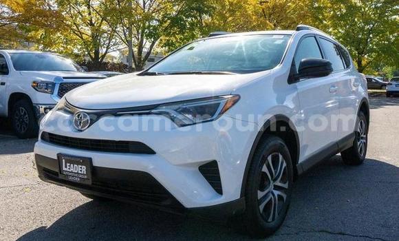 Acheter Import Voiture Toyota RAV4 Blanc à Yaoundé, Central Cameroon