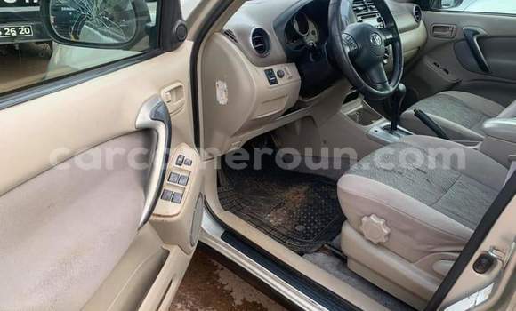 Buy Used Toyota RAV4 Silver Car in Yaounde in Central Cameroon Buy Used Toyota RAV4 Silver Car in Yaounde in Central Cameroon