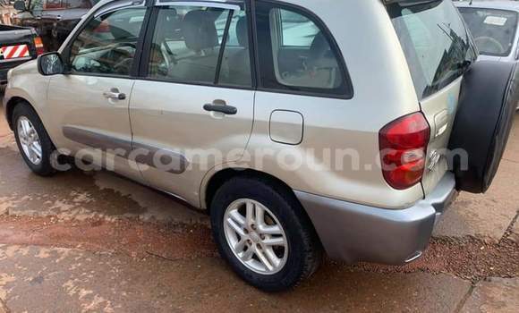 Buy Used Toyota RAV4 Silver Car in Yaounde in Central Cameroon Buy Used Toyota RAV4 Silver Car in Yaounde in Central Cameroon