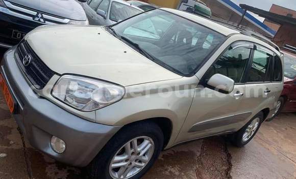 Buy Used Toyota RAV4 Silver Car in Yaounde in Central Cameroon Buy Used Toyota RAV4 Silver Car in Yaounde in Central Cameroon
