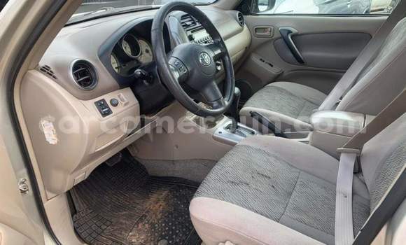 Buy Used Toyota RAV4 Silver Car in Yaounde in Central Cameroon Buy Used Toyota RAV4 Silver Car in Yaounde in Central Cameroon