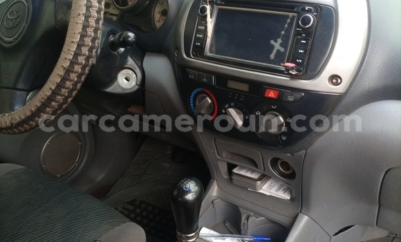 Sayi Na hannu Toyota RAV4 Green Mota in Douala a Ƙasar Kamaru