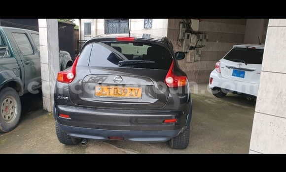 Acheter Occasion Voiture Nissan Juke Marron à Douala, Littoral Cameroon