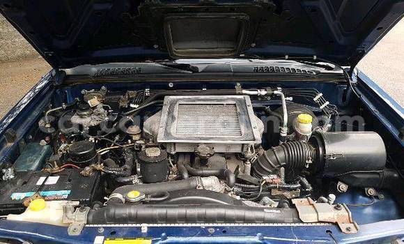 Acheter Occasion Voiture Nissan Navara Bleu à Ebolowa, South Cameroon Acheter Occasion Voiture Nissan Navara Bleu à Ebolowa, South Cameroon