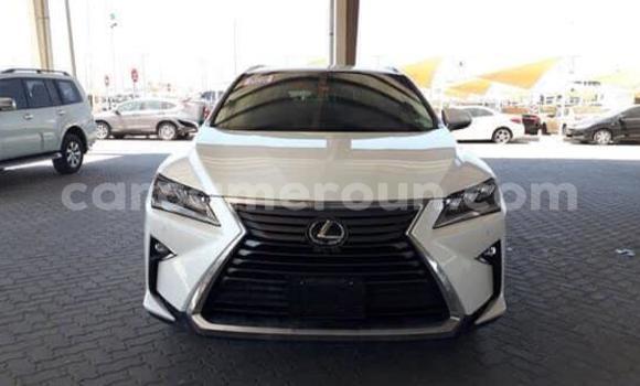 Buy Used Lexus RX 350 White Car in Yaounde in Central Cameroon