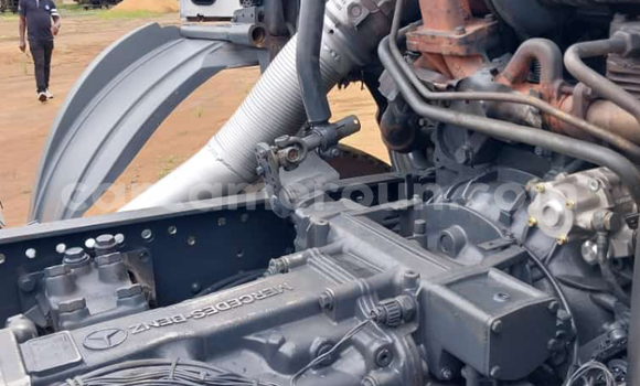 Sayi Imported Mercedes‒Benz 3331 White Babbar mota in Douala a Ƙasar Kamaru Sayi Imported Mercedes‒Benz 3331 White Babbar mota in Douala a Ƙasar Kamaru