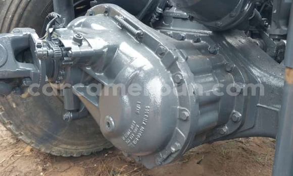 Sayi Imported Mercedes‒Benz 3331 White Babbar mota in Douala a Ƙasar Kamaru Sayi Imported Mercedes‒Benz 3331 White Babbar mota in Douala a Ƙasar Kamaru